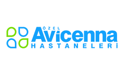 12avicenna.png